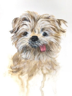 Portrait Painting of Jann Arden's Dog in a realistic style with artistic splashes and strokes at the bottom.